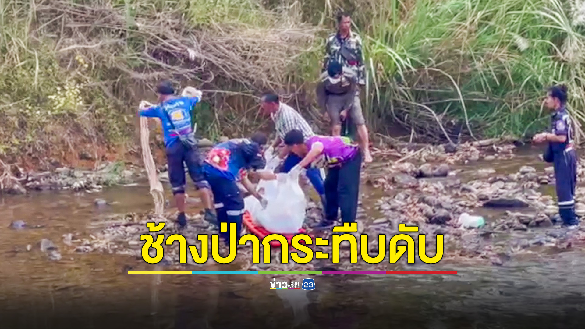 หนุ่มตกปลาโดนช้างป่ากระทืบร่างดับ
