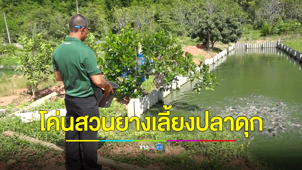 ประธานสภา อบต. ตัดใจโค่นสวนยางทิ้ง หันมาเลี้ยงปลาดุกทำเงินเดือนละครึ่งแสน
