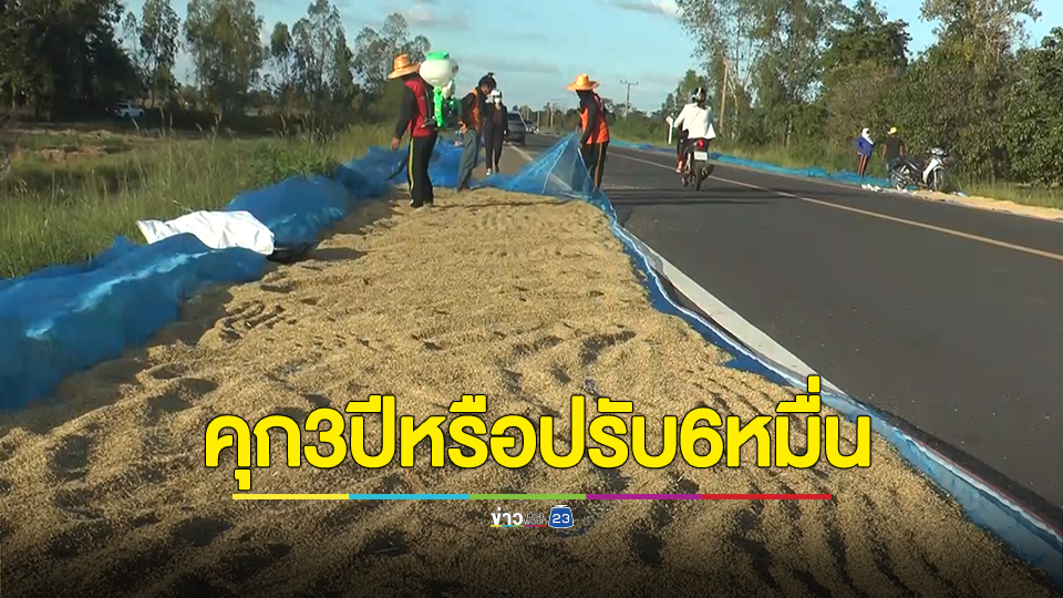 เตือน “ตากข้าวบนถนน” มีโทษตามกฎหมายจำคุกไม่เกิน 3 ปี หรือปรับไม่เกิน 60,000 บาท
