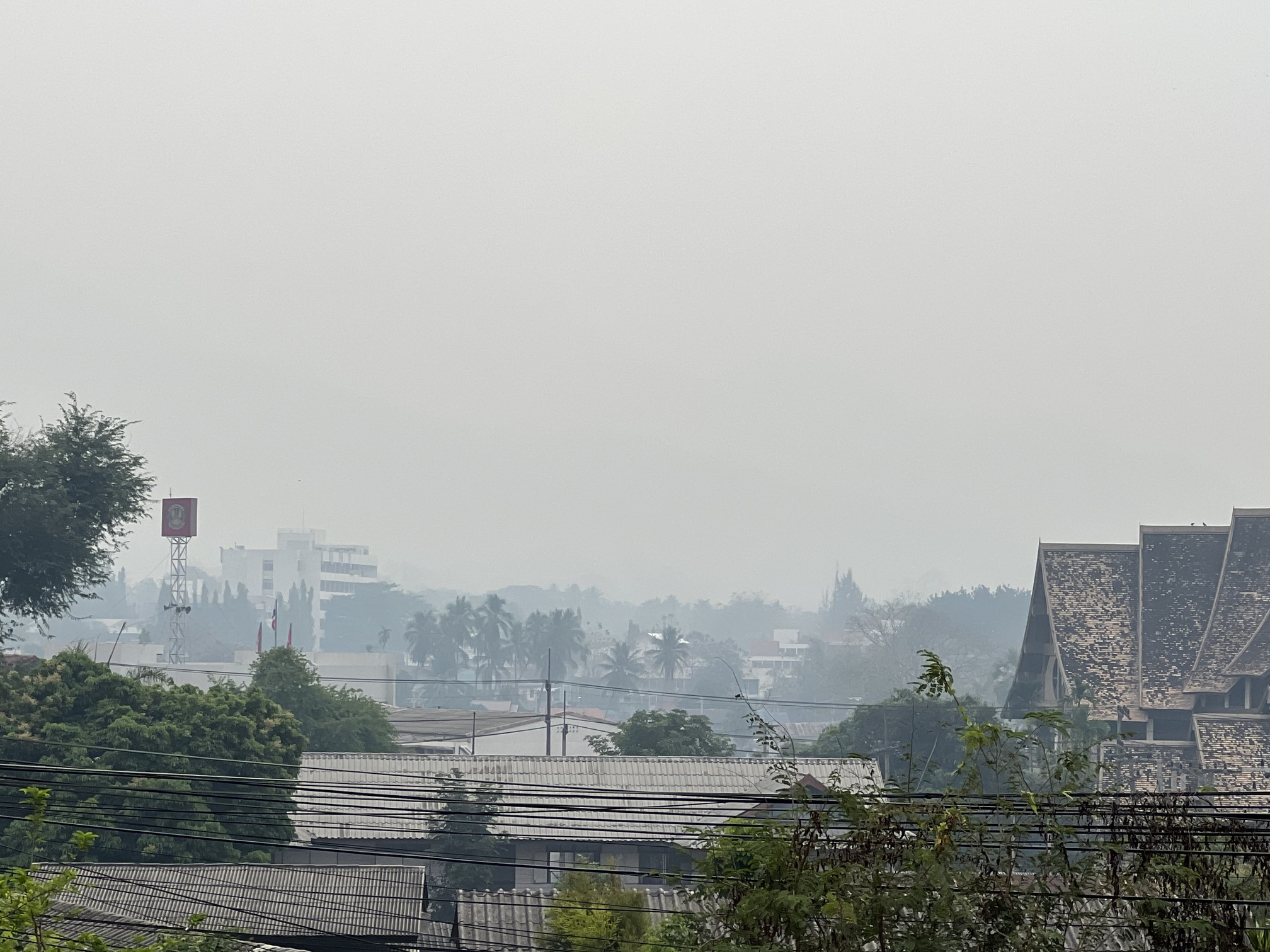 วอนรัฐ 'อย่าหมกเม็ด' สถานการณ์ไฟป่าปีนี้แนวโน้มรุนแรง พบแล้ว 15 จุด ในพื้นที่ป่าสงวนแห่งชาติมากที่สุด