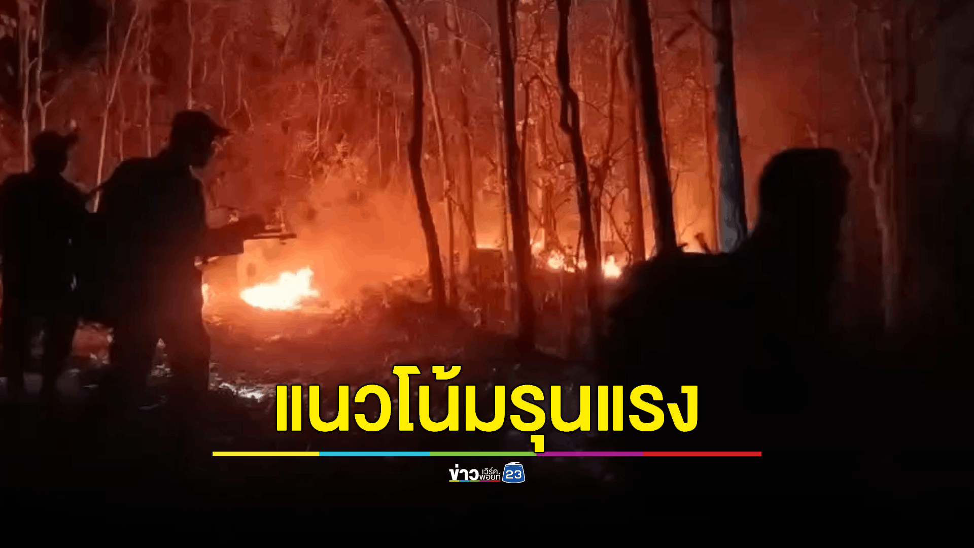วอนรัฐ 'อย่าหมกเม็ด' สถานการณ์ไฟป่าปีนี้แนวโน้มรุนแรง พบแล้ว 15 จุด ในพื้นที่ป่าสงวนแห่งชาติมากที่สุด