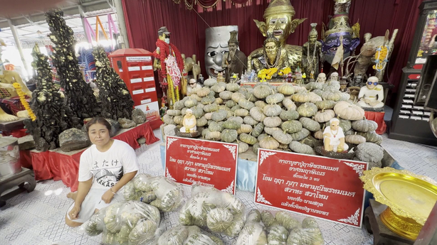 หญิงชาวสิงห์บุรีนำ 'ฟักทอง' 99 ลูก มาแก้บนปู่ฤาษีพรหมเมศ หลังรับโชคหลายแสน