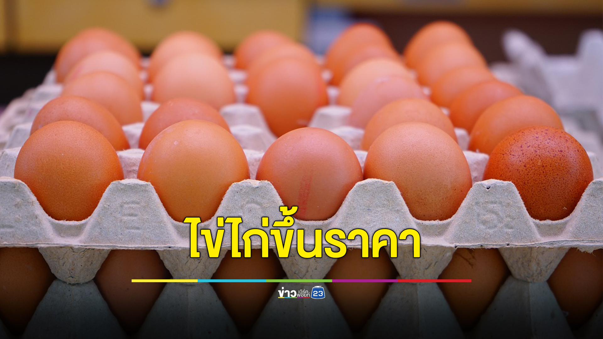 "ไข่ไก่"ขึ้นราคาแผงละ 9 บาท ทั้งปลีก - ส่ง เริ่มพรุ่งนี้