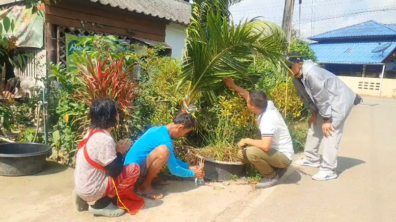 ฮือฮาต้นมะพร้าวคล้ายเศียรพญานาค ให้โชคหลายงวดติด