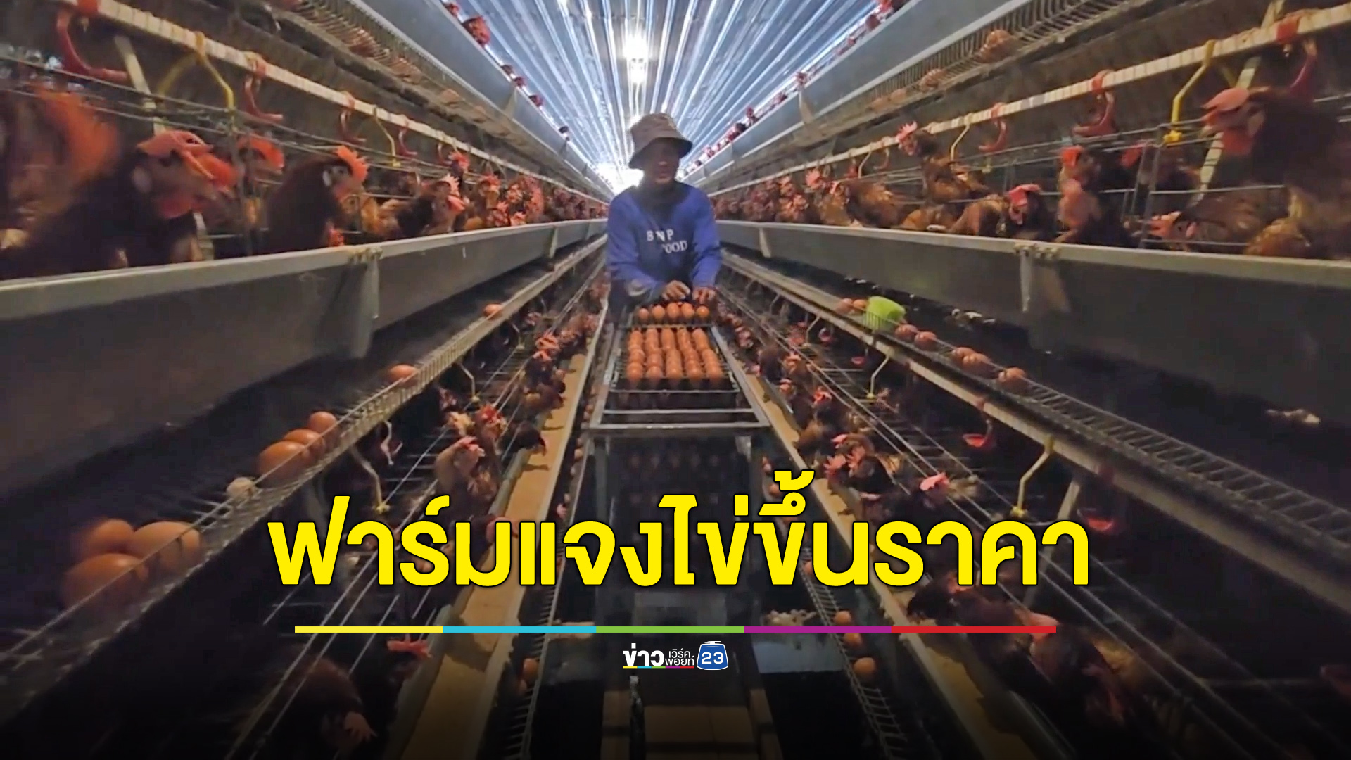 ฟาร์มไข่เมืองกรุงเก่าแจง ขึ้นราคาไข่เพราะนโยบายลดค่าไฟ