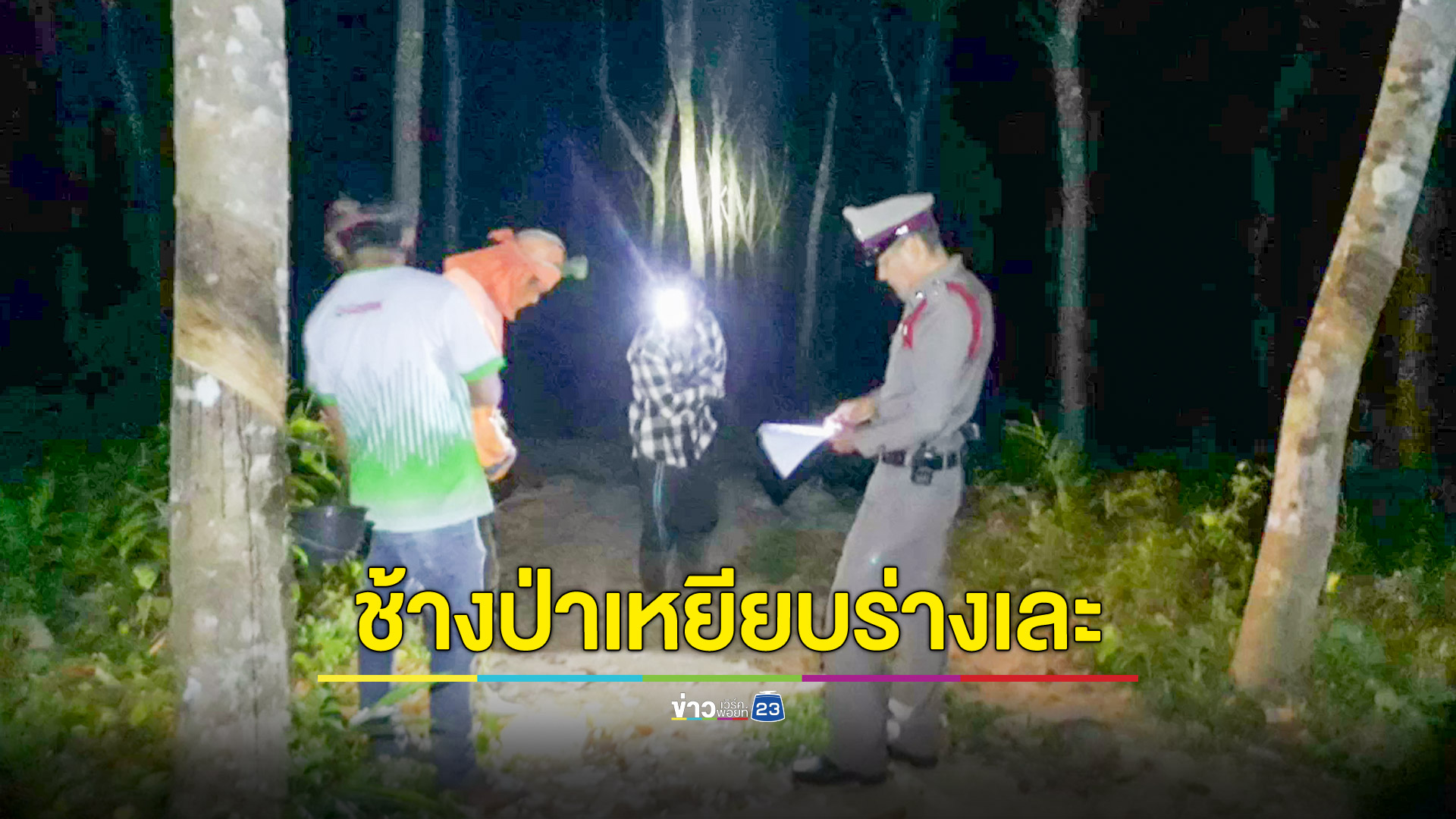 ช้างป่าตกมันทำร้ายหญิงวัย 30 ปี ดับสยองต่อหน้าสามีกลางสวนยางพารา