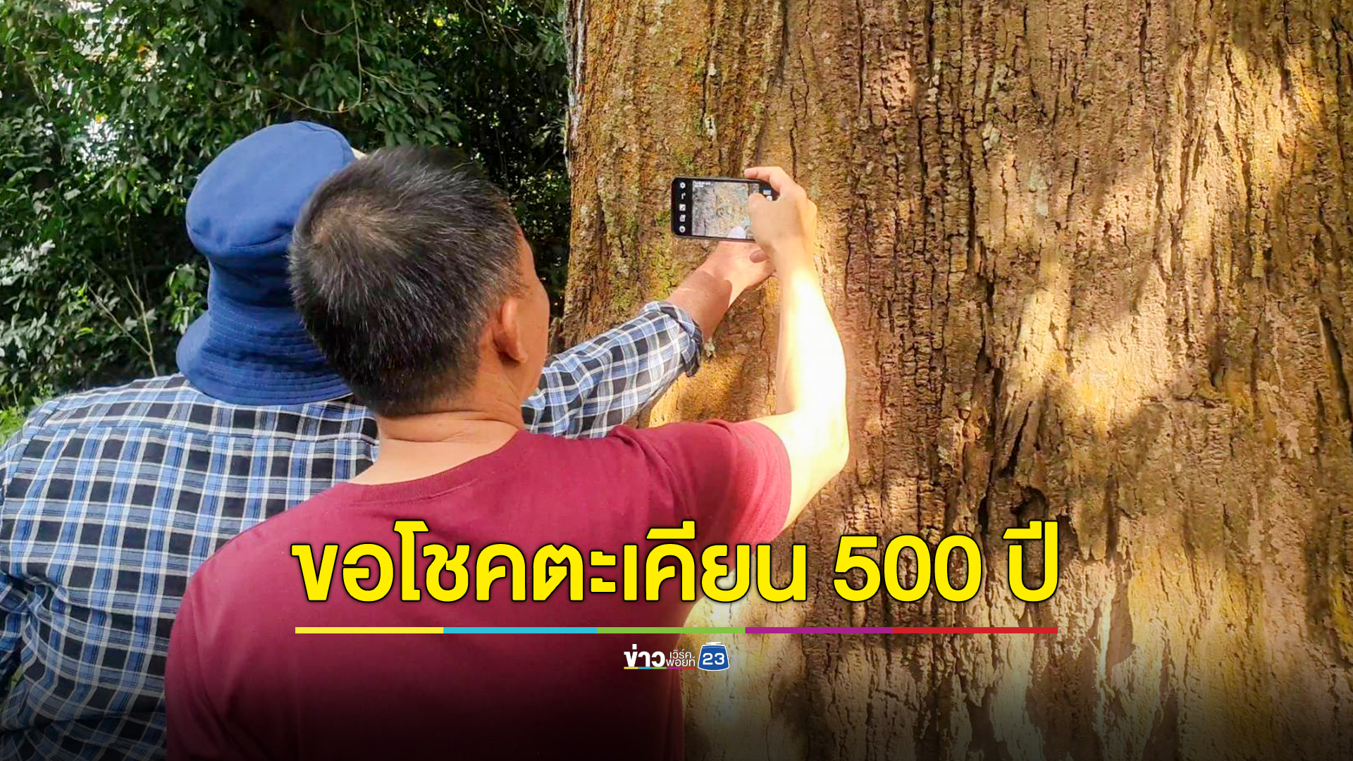 ชอโชคต้นตะเคียนทองโบราณอายุกว่า 500 ปี ขนาด 6 คนโอบ