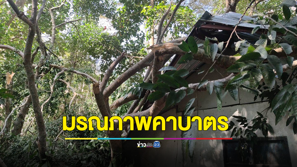 สลด! พระภิกษุธุดงค์เข้ากรรม ถูกกิ่งไม้ตกทับ มรณภาพคาบาตร