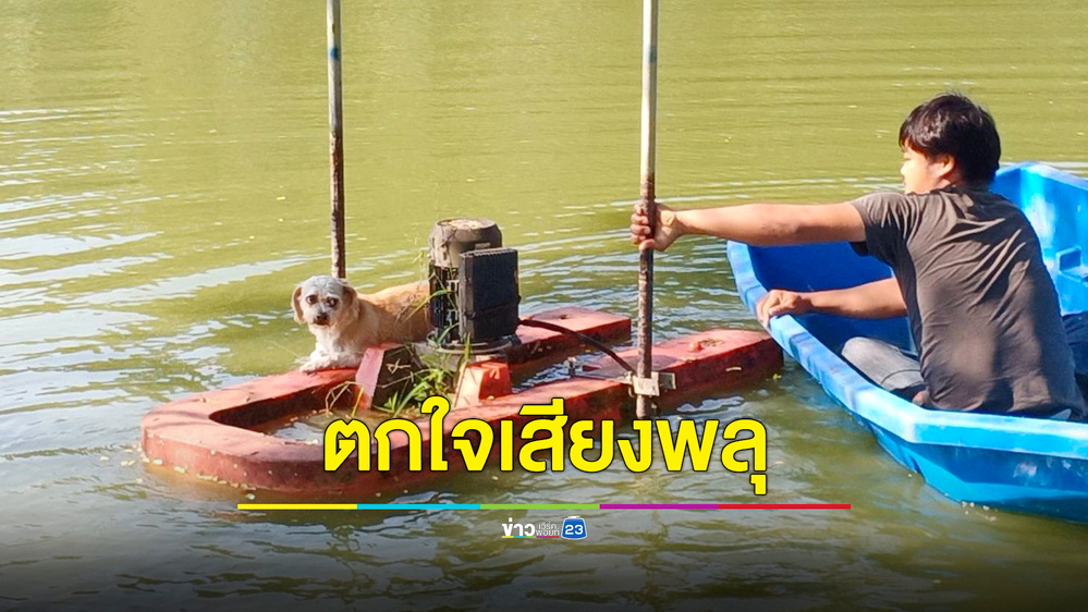 น้องหมาตกใจเสียงพลุ วิ่งเตลิดลงบ่อไปเกาะบนเครื่องผันน้ำกลางบ่อบำบัดลึก 10 เมตร
