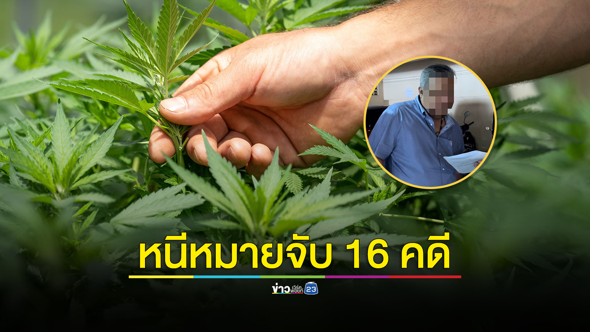 หลอกลงทุนปลูกกัญชา หนีหมายจับ 16 คดี สุดท้ายไม่รอด
