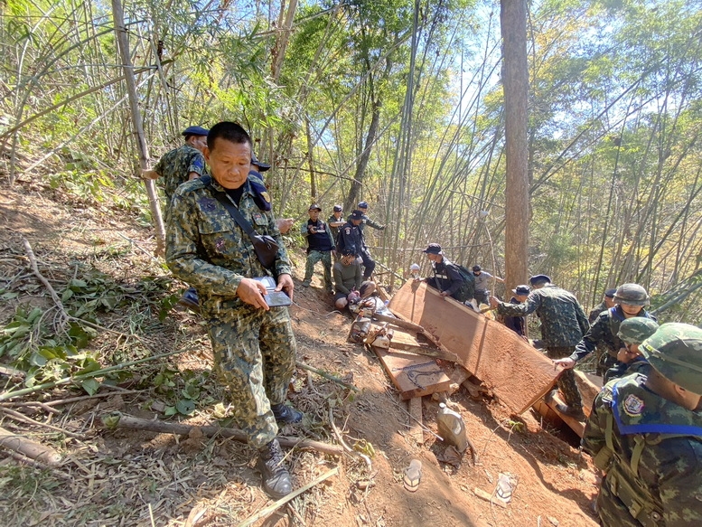 สนธิกำลังบุกจับมอดไม้ลอบตัดไม้ประดู่ พบทุนจีนรับซื้อให้ราคาสูงกว่าไม้สักทองหลายเท่า