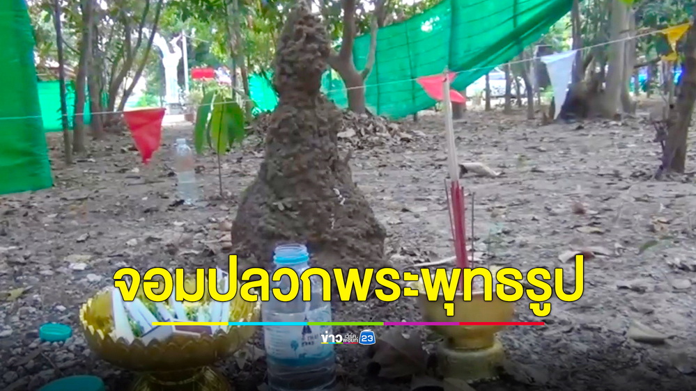 ฮือฮา! จอมปลวกสร้างรังคล้ายพระพุทธรูป โผล่กลางลานปฏิบัติธรรม
