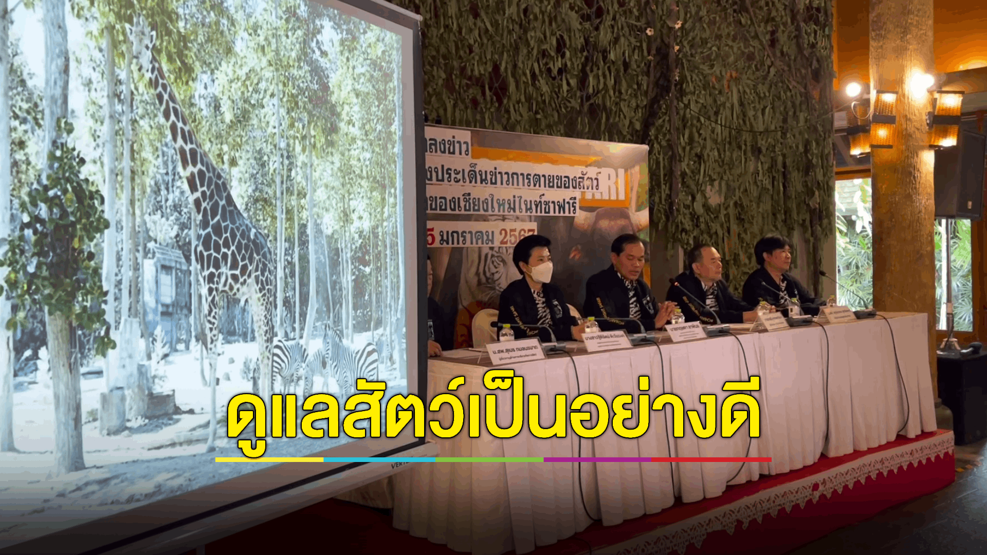 'ไนท์ซาฟารี' แจงดราม่าสัตว์ป่าตายปริศนาเดือนเดียว 13 ตัว