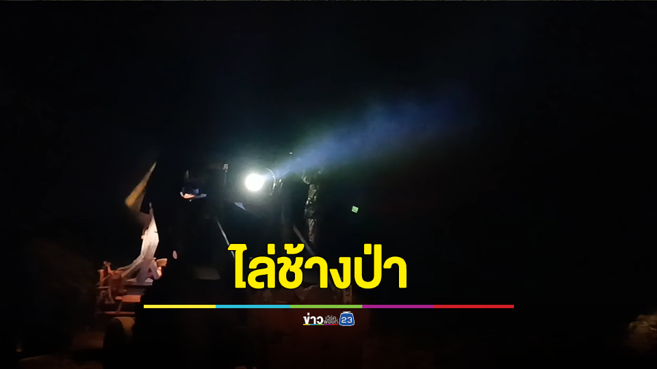 ชาวบ้านใช้รถไถ-รถบรรทุกบุกไล่ช้างป่าหลายสิบตัว ออกจากไร่อ้อยห่างจากแหล่งชุมชน 500 ม. หลังเดือดร้อนนานนับเดือน