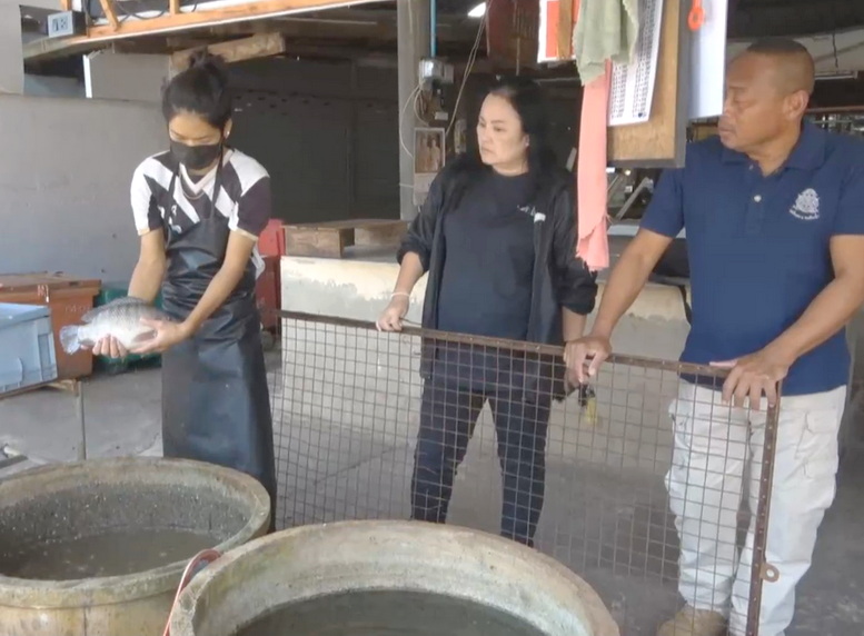 เปิดวงจรปิดล่าโจรขาเป๋ ย่องลักปลานิลในตลาดสด