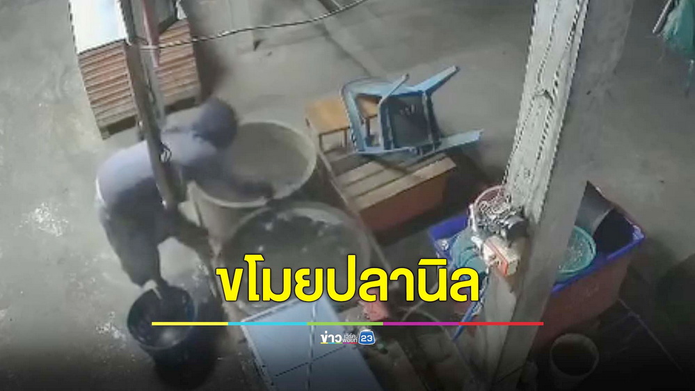 เปิดวงจรปิดล่าโจรขาเป๋ ย่องลักปลานิลในตลาดสด