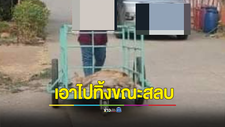 เพจดังแฉ ผู้บริหารโรงเรียนในจ.นครสวรรค์ หลอกปศุสัตว์มาทำหมันหมา แล้วนำหมาไปปล่อยทิ้งขณะสลบ