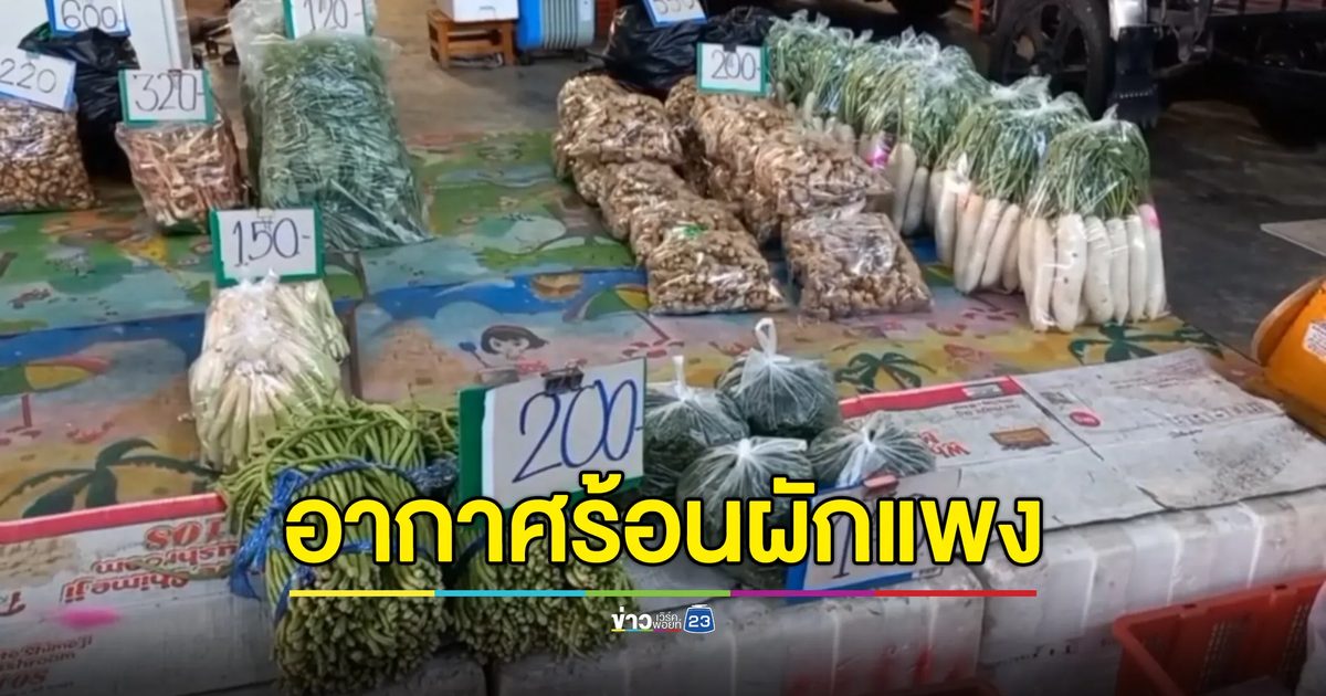 อากาศร้อน"ผักราคาแพง" พาณิชย์เมืองสองแควลุยตรวจตราชั่งแม่ค้า