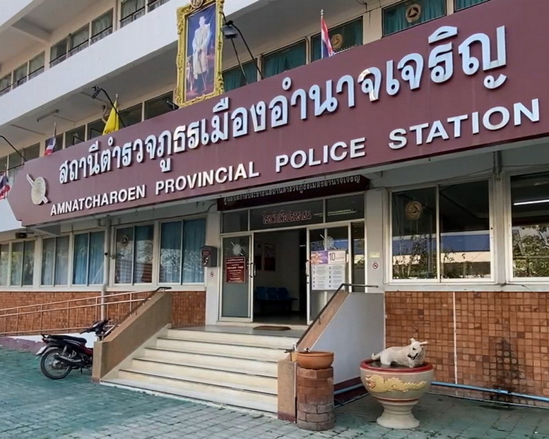 แตะ 40 องศาฯน้องหมาทนไม่ไหว โดดแช่น้ำอ่างเลี้ยงปลาหน้าโรงพักคลายร้อน