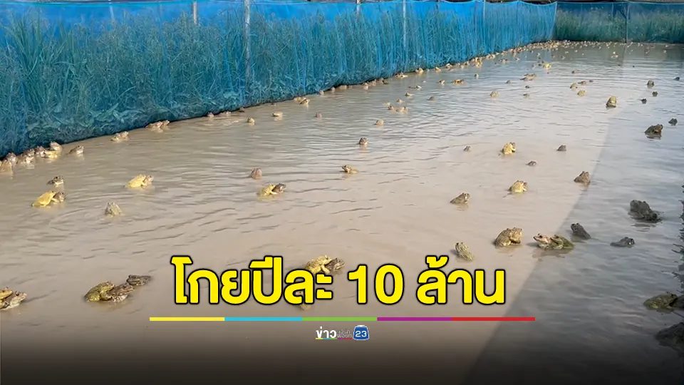 โกยปีละ 10 ล้าน ทำนากบขายลูกฮวกแช่แข็ง ส่งนอก