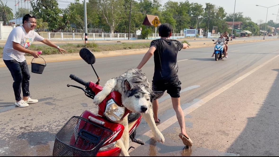 นุดห่วงผมก่อน อย่าห่วงแต่สาวๆ จะร่วงแล้ว