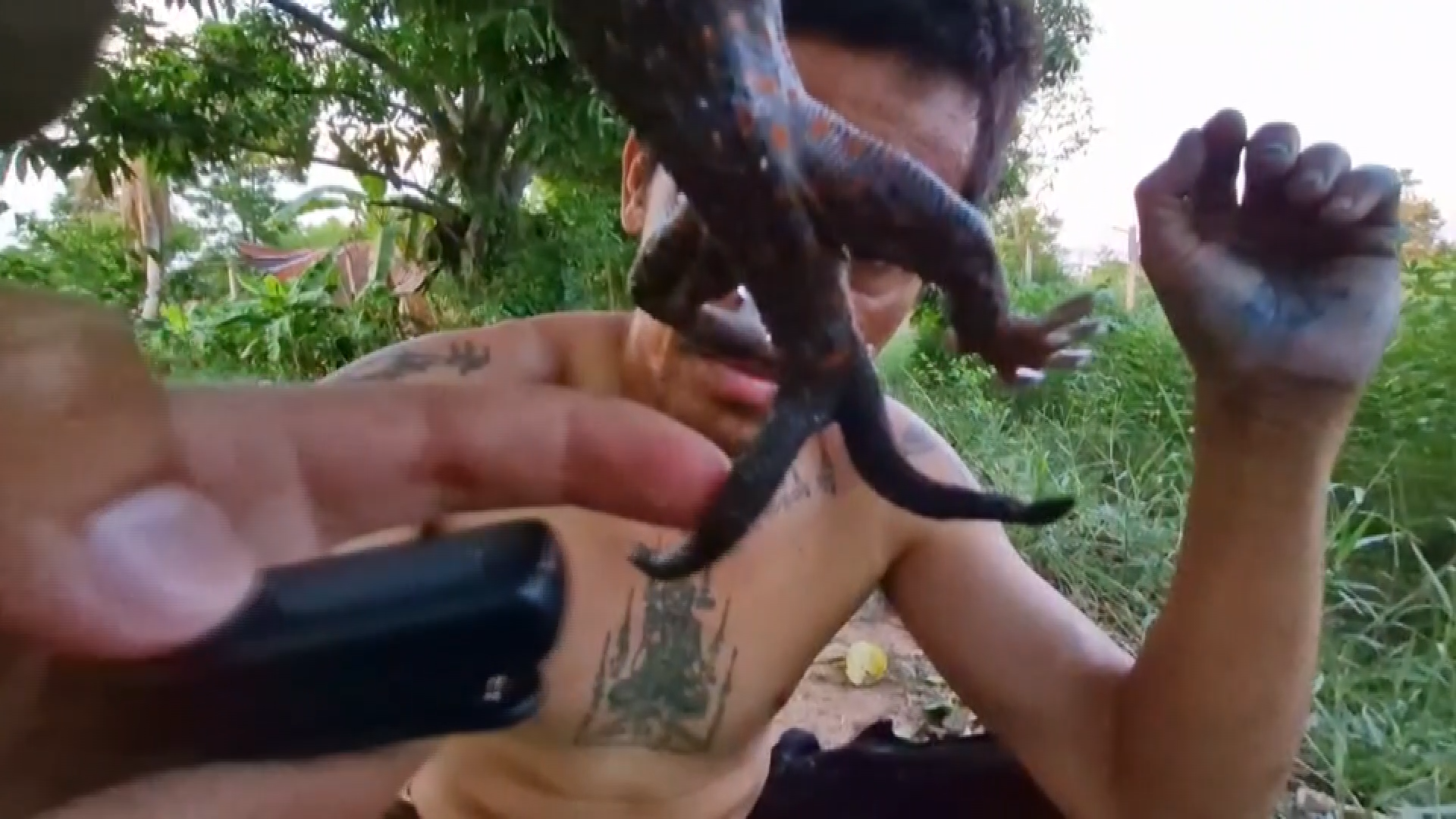 "ตุ๊กแก"ประหลาดมีสองหาง เชื่อมาให้โชคแน่นอน