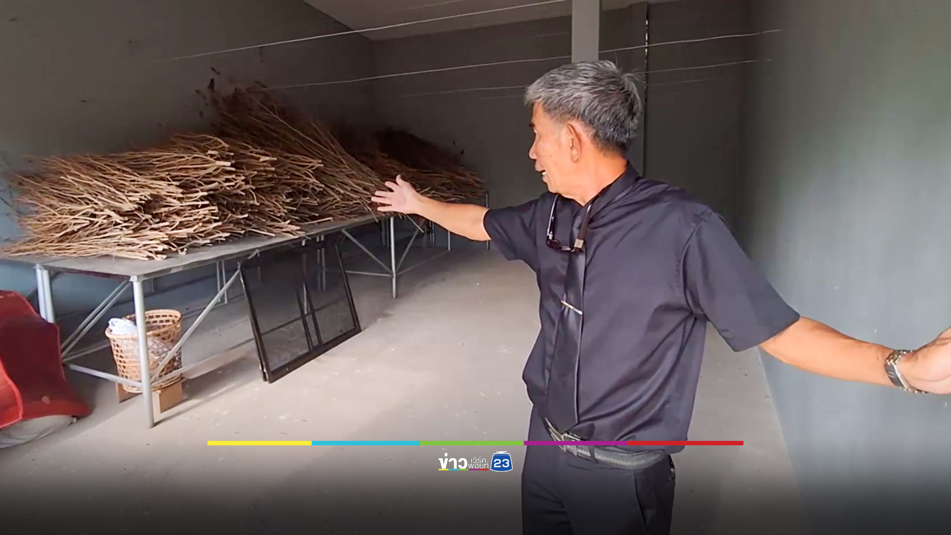 เกษตรกรปลูกกัญชาเมืองรถม้า เจ๊งไม่เป็นท่าสูญเงินกว่า 10 ล้านบาท