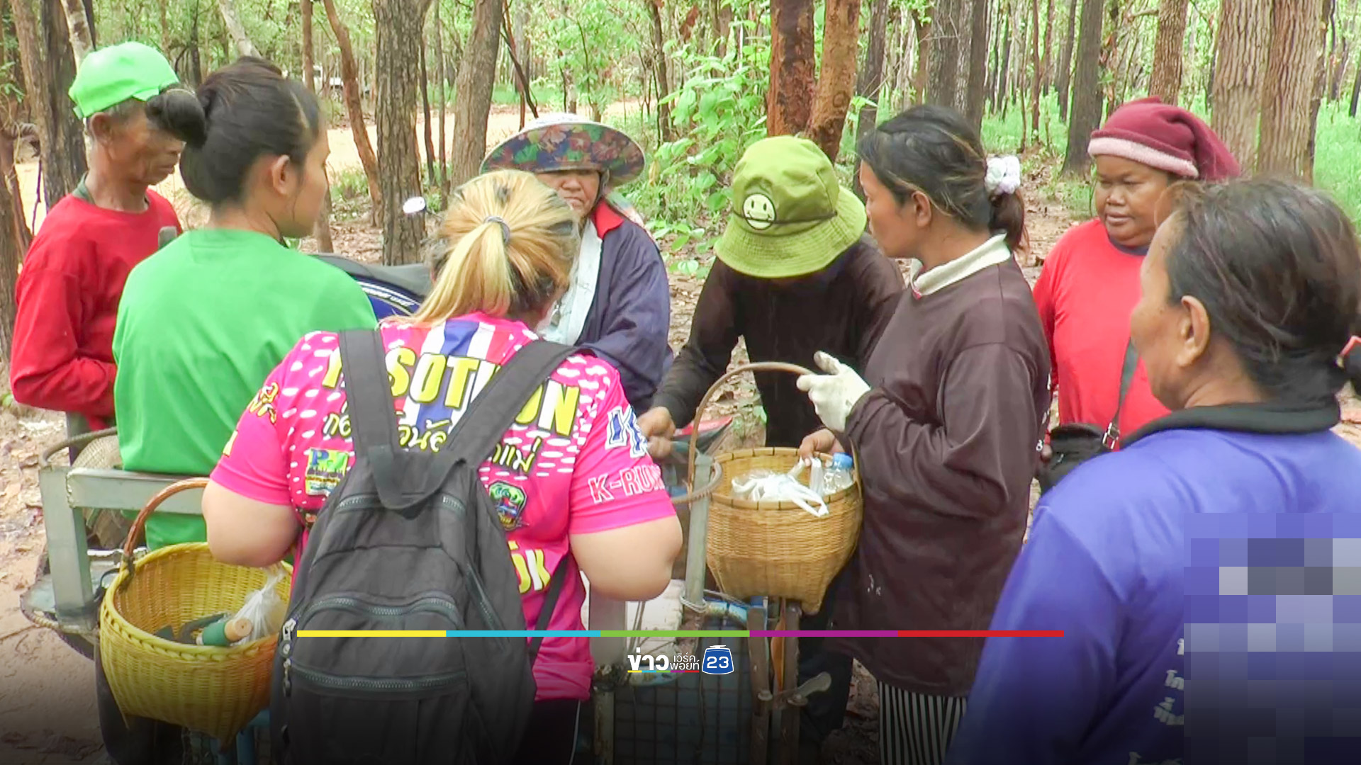 ชาวบ้านแห่เก็บเห็ดเผาะขายสร้างรายได้งามหลังมีฝนตกลงมา