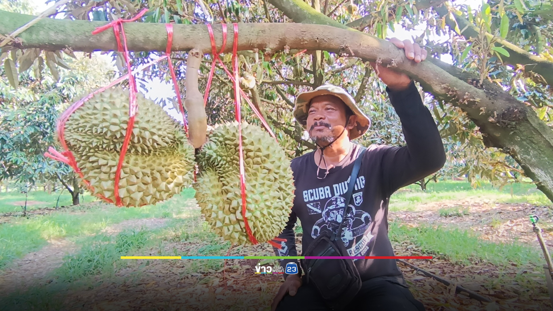 สุดแปลก! ขั้วเดียวติดทุเรียนแฝด 2 ลูก