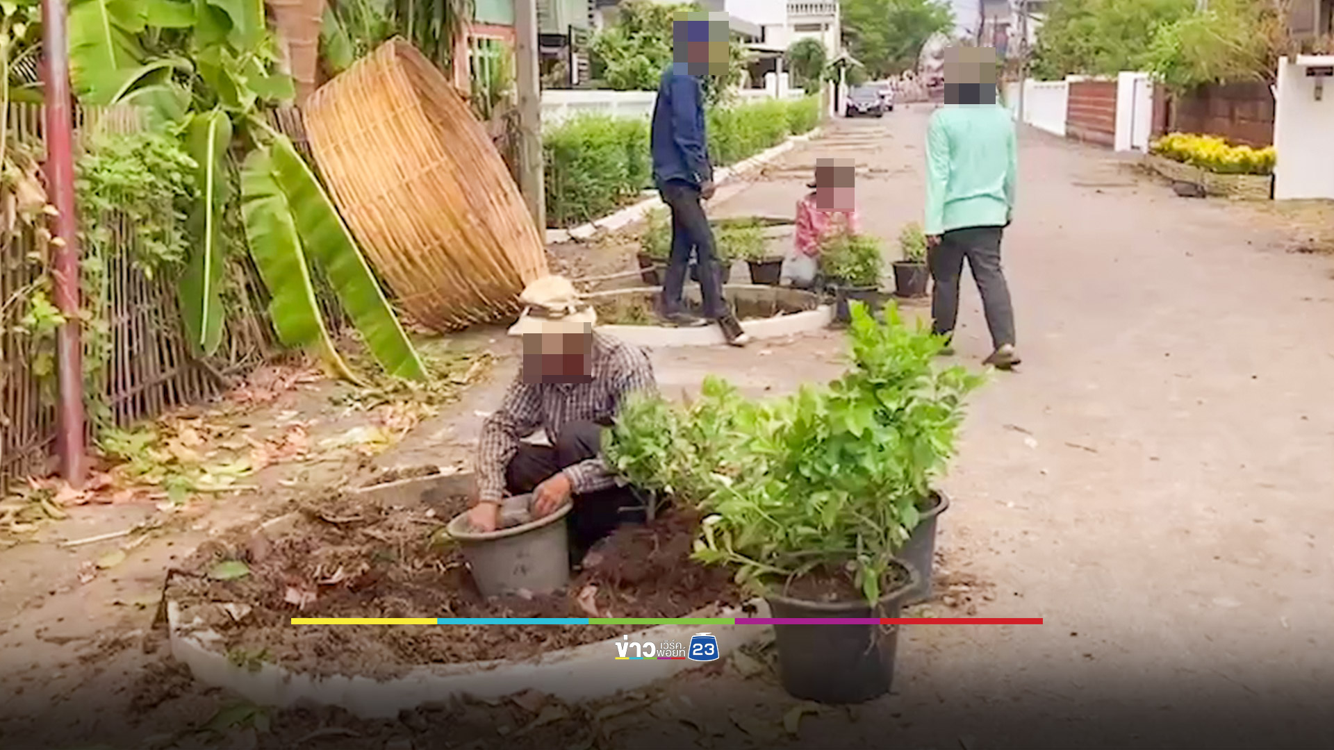 รื้อแล้ว "ปลูกต้นไม้บนถนน" หลังคนลำพูนไม่เห็นด้วย