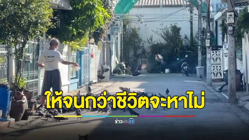 เดือดร้อนทั้งซอย!!! ลุงตี๋มีเมตตาให้อาหารนกพิราบ 200 ตัว ชาวบ้านหวั่นติดเชื้อ