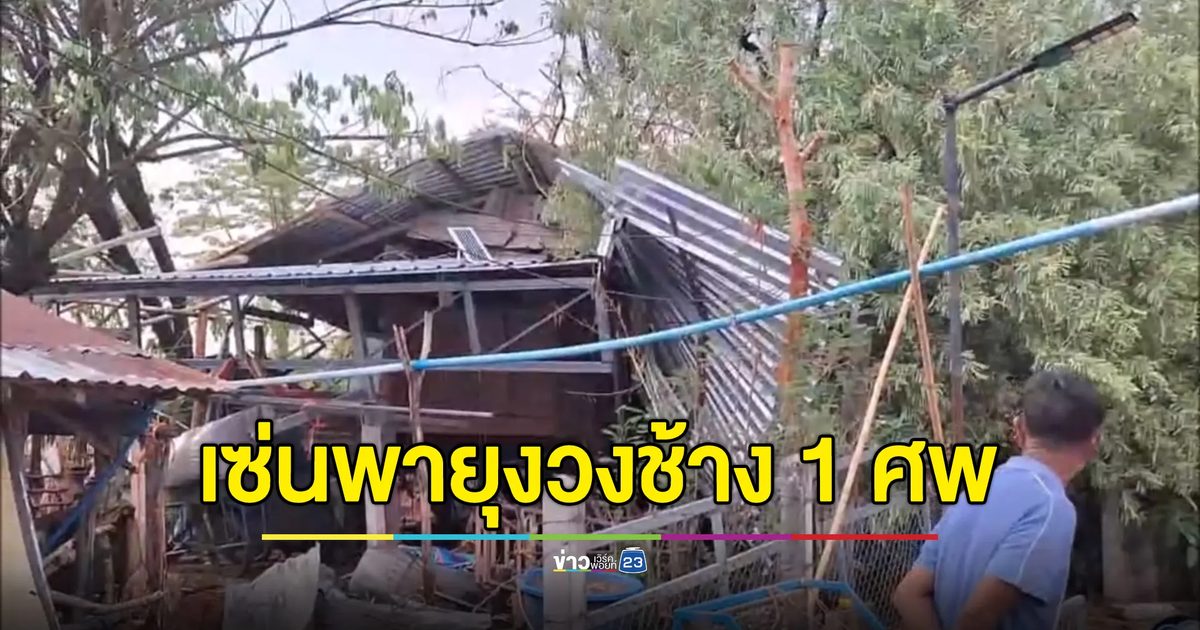 "พายุงวงช้าง" ซัดต้นมะขามยักษ์ล้มทับยายดับต่อหน้าหลาน