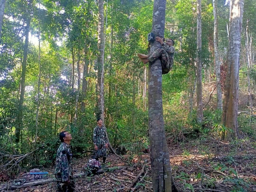 เปิดภาพความสมบูรณ์ป่าอนุรักษ์ฯ สัตว์ป่าออกหากินตามระบบนิเวศ