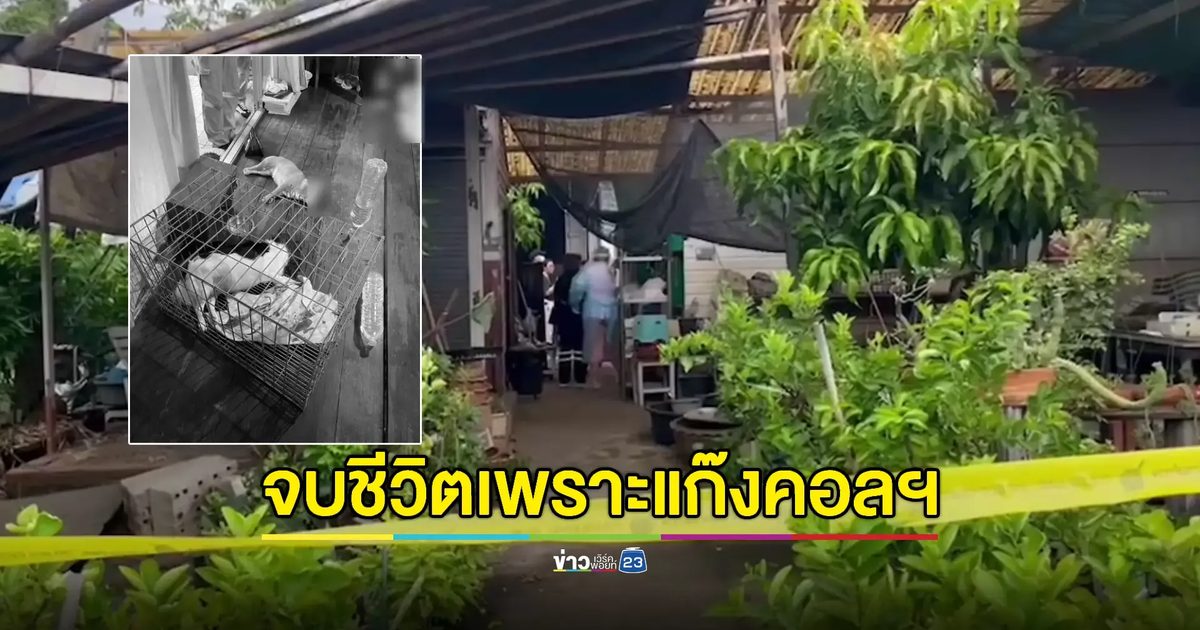 แก๊งคอลฯหลอกป้าวัย 74 โอนเงินเป็นแสนจนป่วยซึมเศร้า