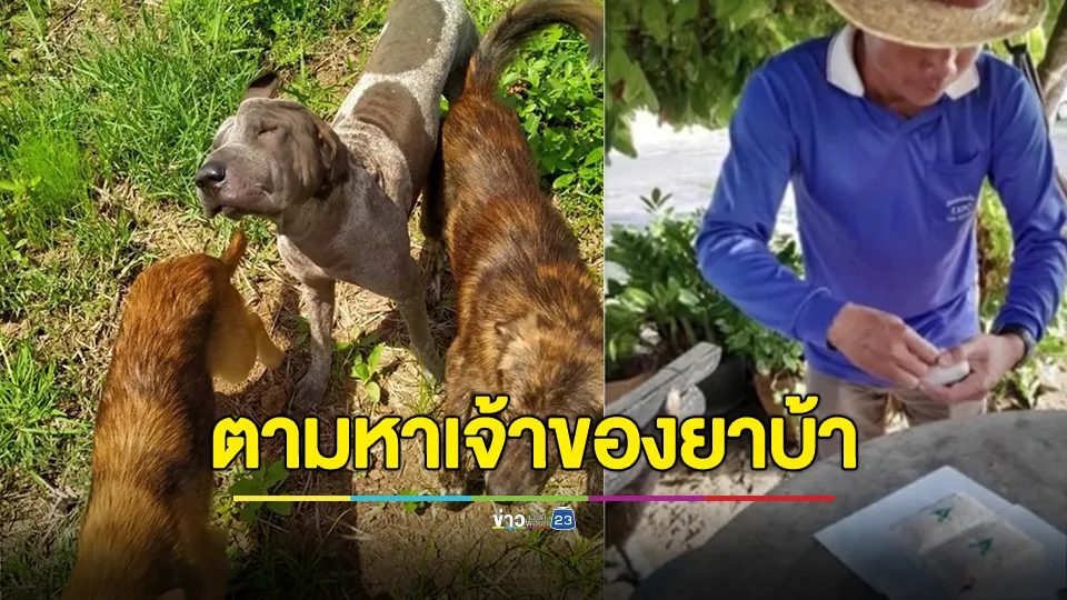 สารวัตรหนุ่ย ประกาศตามหาเจ้าของพัสดุหลังทำหล่นไว้ สุนัขคาบมาให้ ผงะเป็นยาบ้า 6 พันเม็ด ติดต่อรับที่สภ.หินเหล็กไฟ