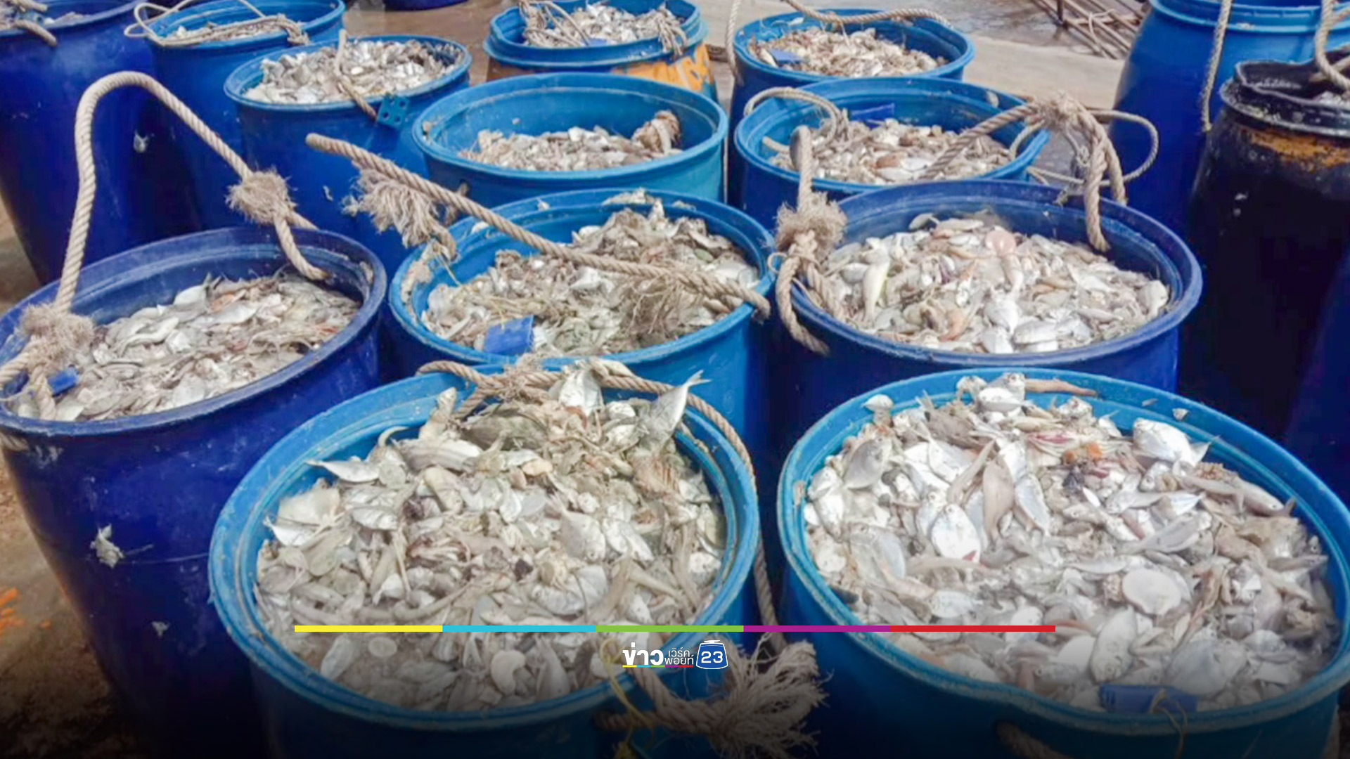 ลูกเรือเจอแก๊สไข่เน่าปลาเป็ด หมดสติ 11 ราย สาหัส 4 ราย