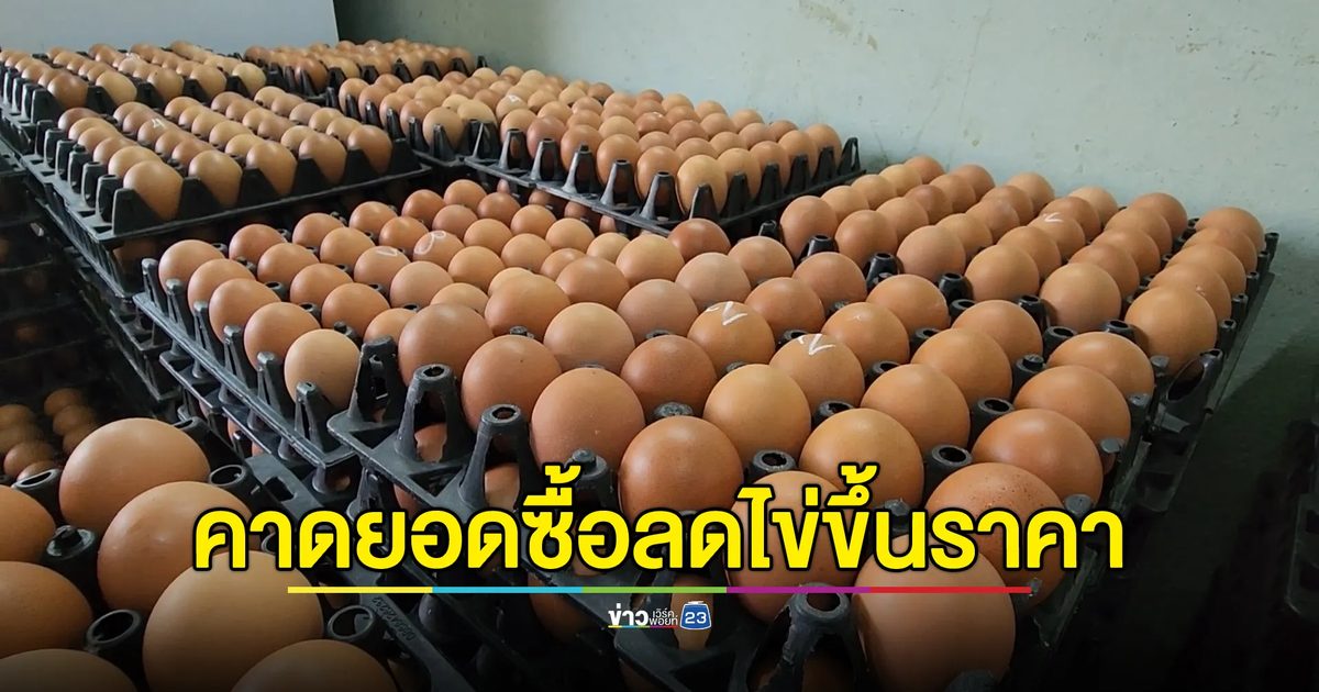 "ไข่ไก่"ขึ้นราคาแผงละ 6 บาท พรุ่งนี้อีกรอบ คาดยอดขายตก