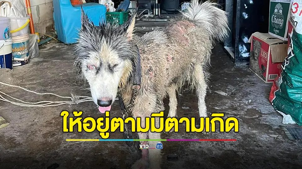 เจ้าของให้อยู่ตามมีตามเกิด จะเข้าช่วยเหลือกลับไม่ยินยอม