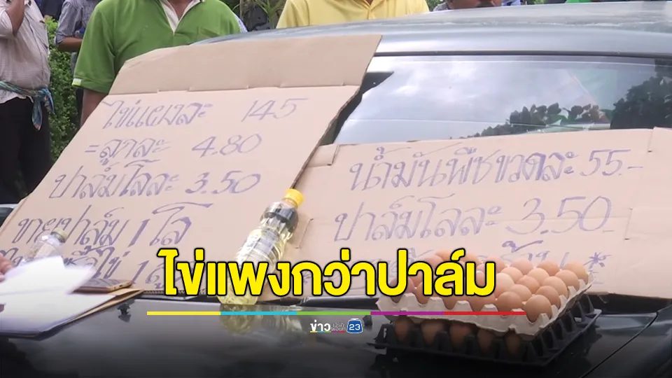 ชาวสวนปาล์มชุมพรฮือหน้าศาลากลางจังหวัด หลังรัฐใช้มาตรการกำหนดให้โรงงานต้องรับซื้อปาล์ม กก.ละ 4.50 บาท แต่ไม่มีอยู่จริง