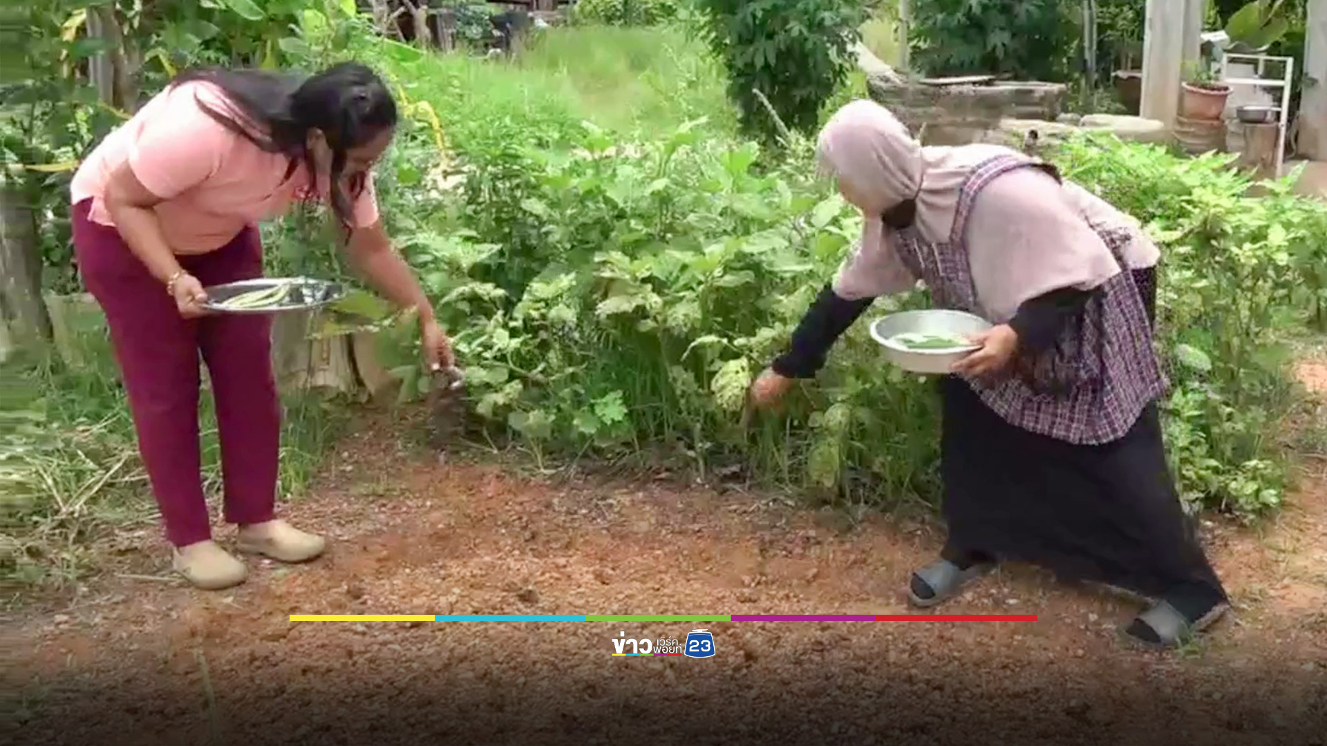 ส้มตำสู้ชีวิตของสองสามีภรรยา ผักสดจากสวน-กุ้งร้ารสกลมกล่อม