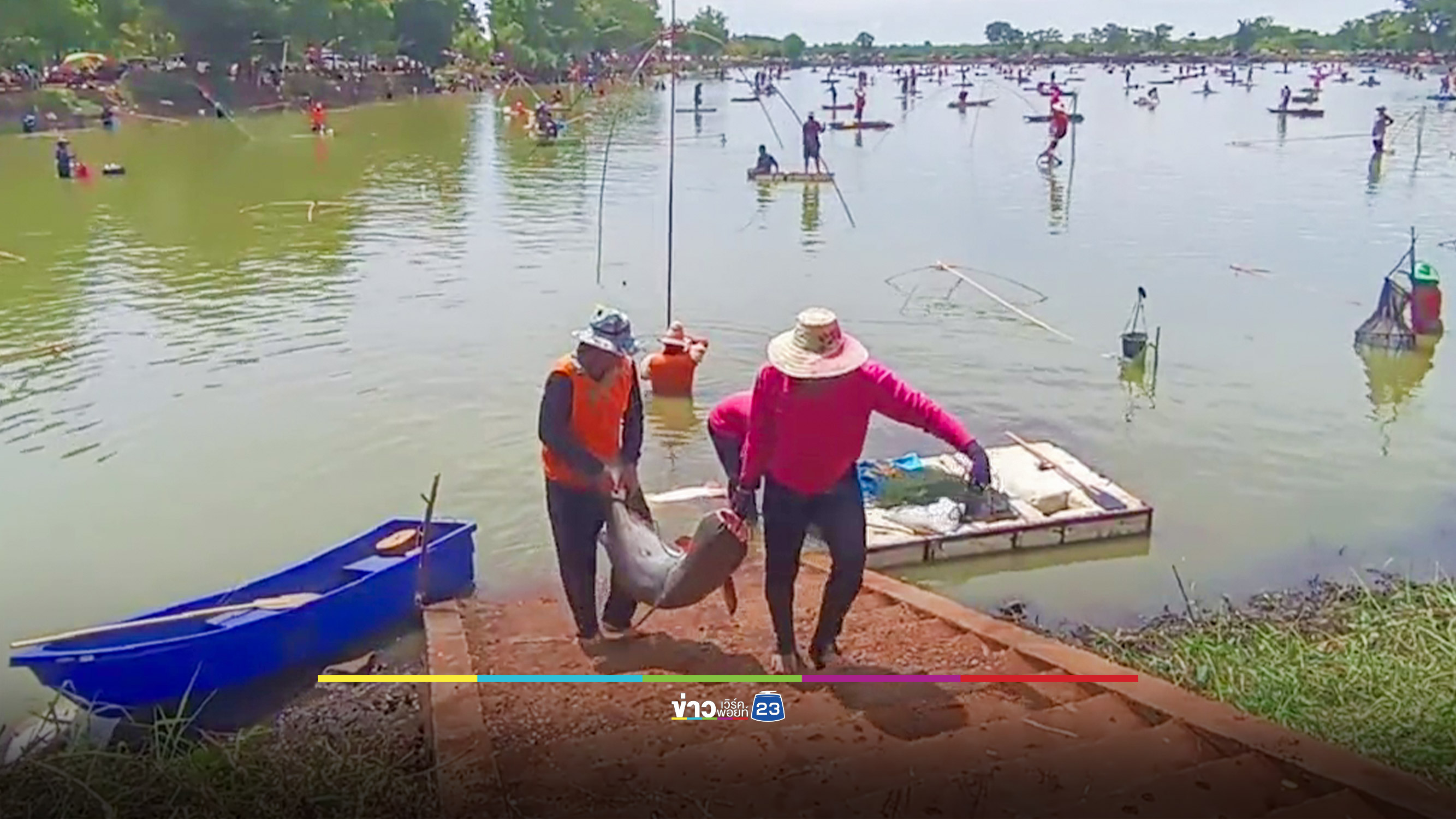 ชาวบ้านนับพันคน แห่ร่วมงานจับปลา ล่าปลาบึกได้เป็นตัน