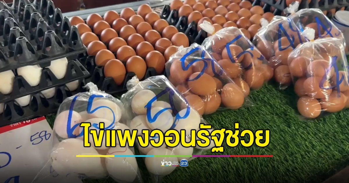 แม่ค้าโอดไข่แพงแตะฟองละ 6 บาท วอนรัฐช่วย