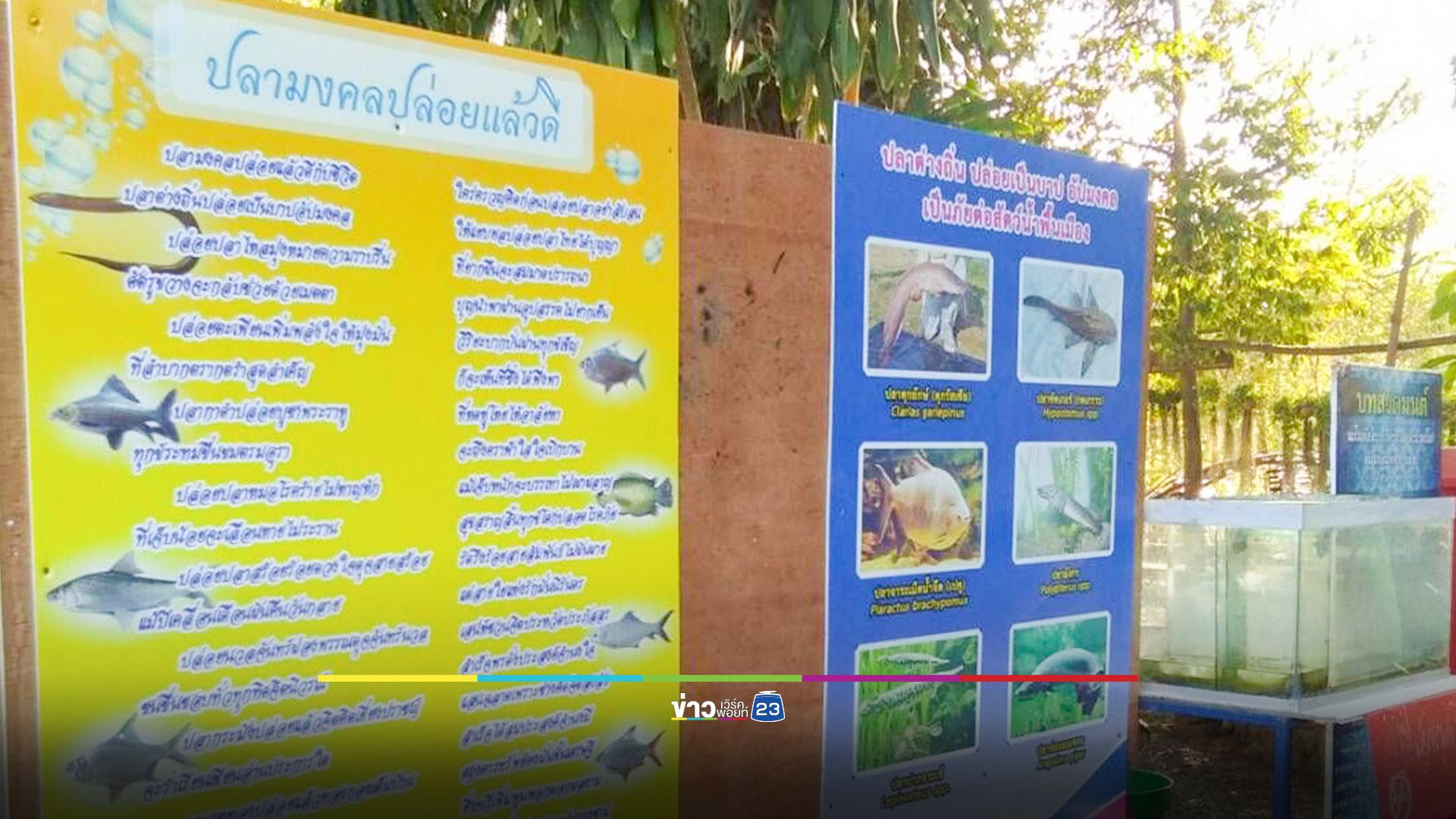 กรมประมงร่วม พศ. เตือนหยุดทำบุญปล่อยปลาเอเลี่ยนสปีชีส์