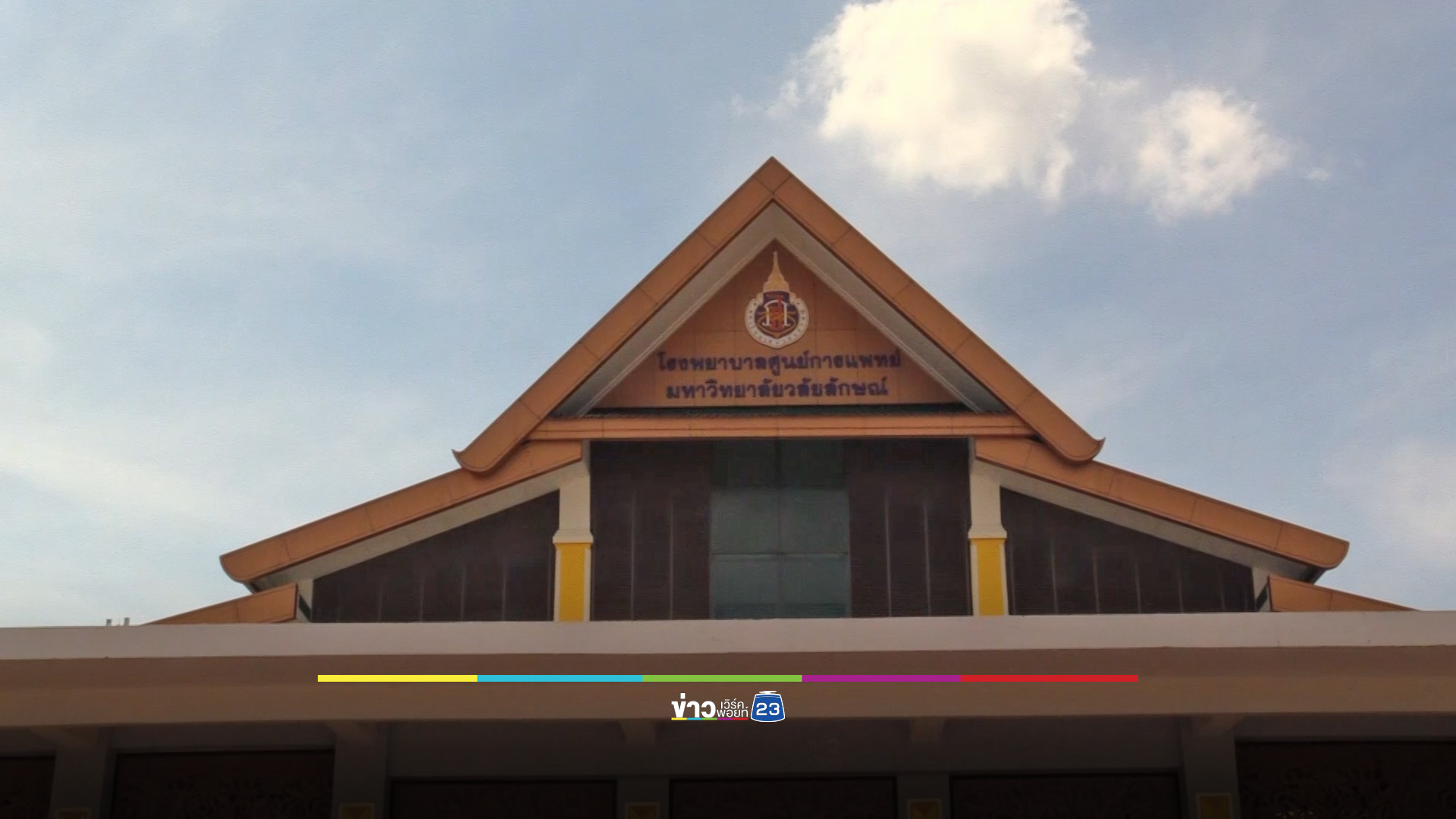 ซ่อมหัวใจคนด้วยชิ้นส่วนหัวใจหมู-วัว เล็งวิจัยเพิ่มช่วยผู้ป่วย