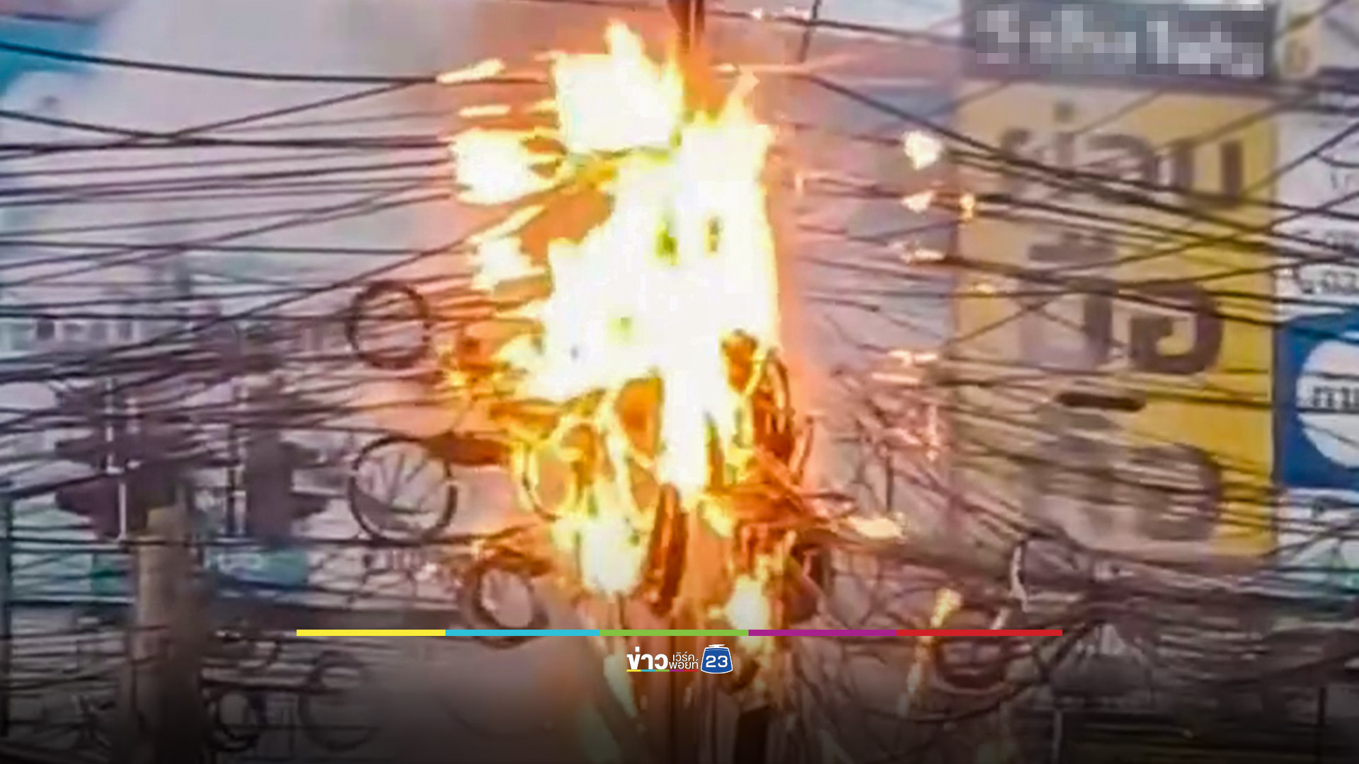 กระรอกตัวเดียวทำไฟฟ้าดับทั้งซอย
