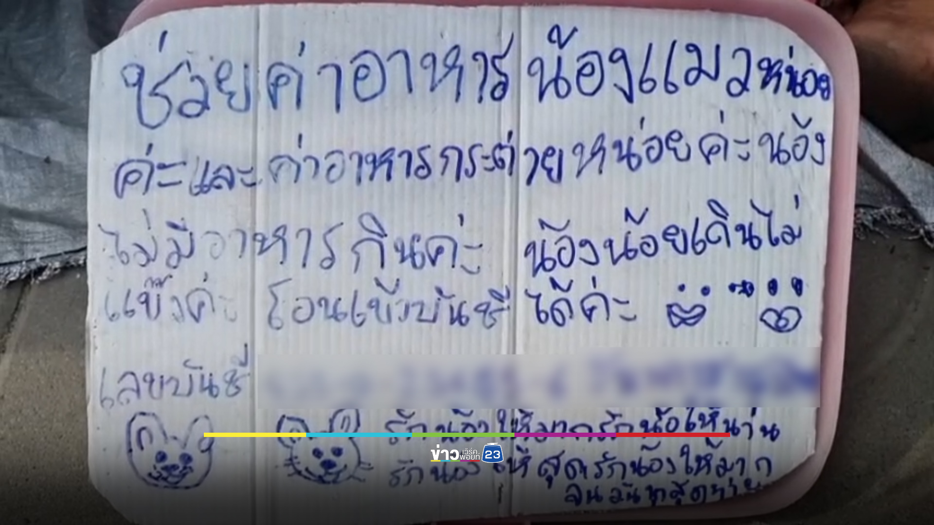 เข้าข่ายทารุณสัตว์ไหม? สาวหอบลูกแมว-กระต่าย นั่งขอเงินข้างถนน