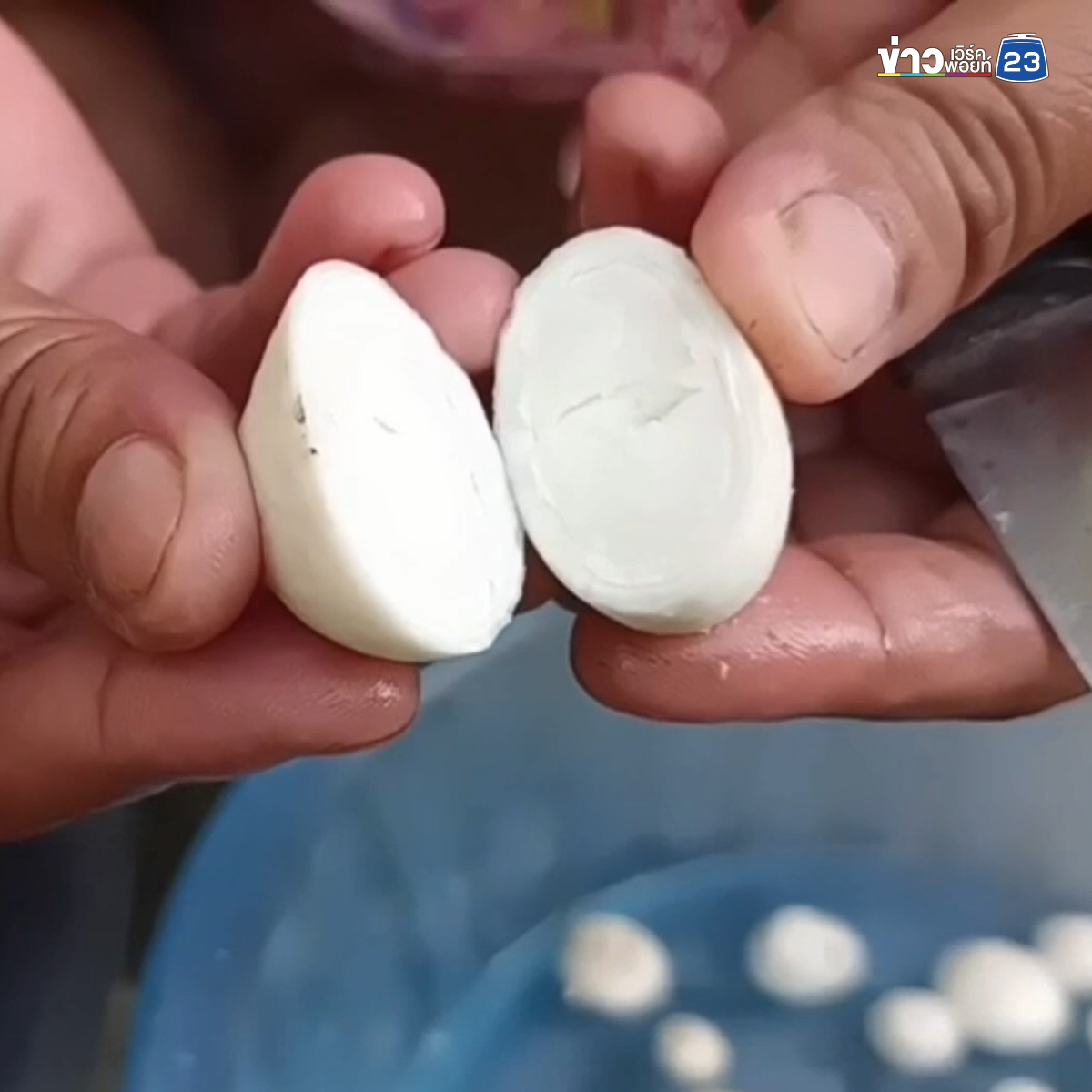 "เห็ดไข่ทราย"เห็ดประจำถิ่นแหลมสน ทำอาหารได้หลากเมนู