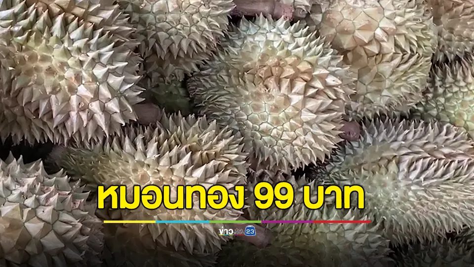 ปชช.แห่ต่อแถวยาวเหยียด รอซื้อทุเรียนหมอนทอง ราคาถูก 99 บาท