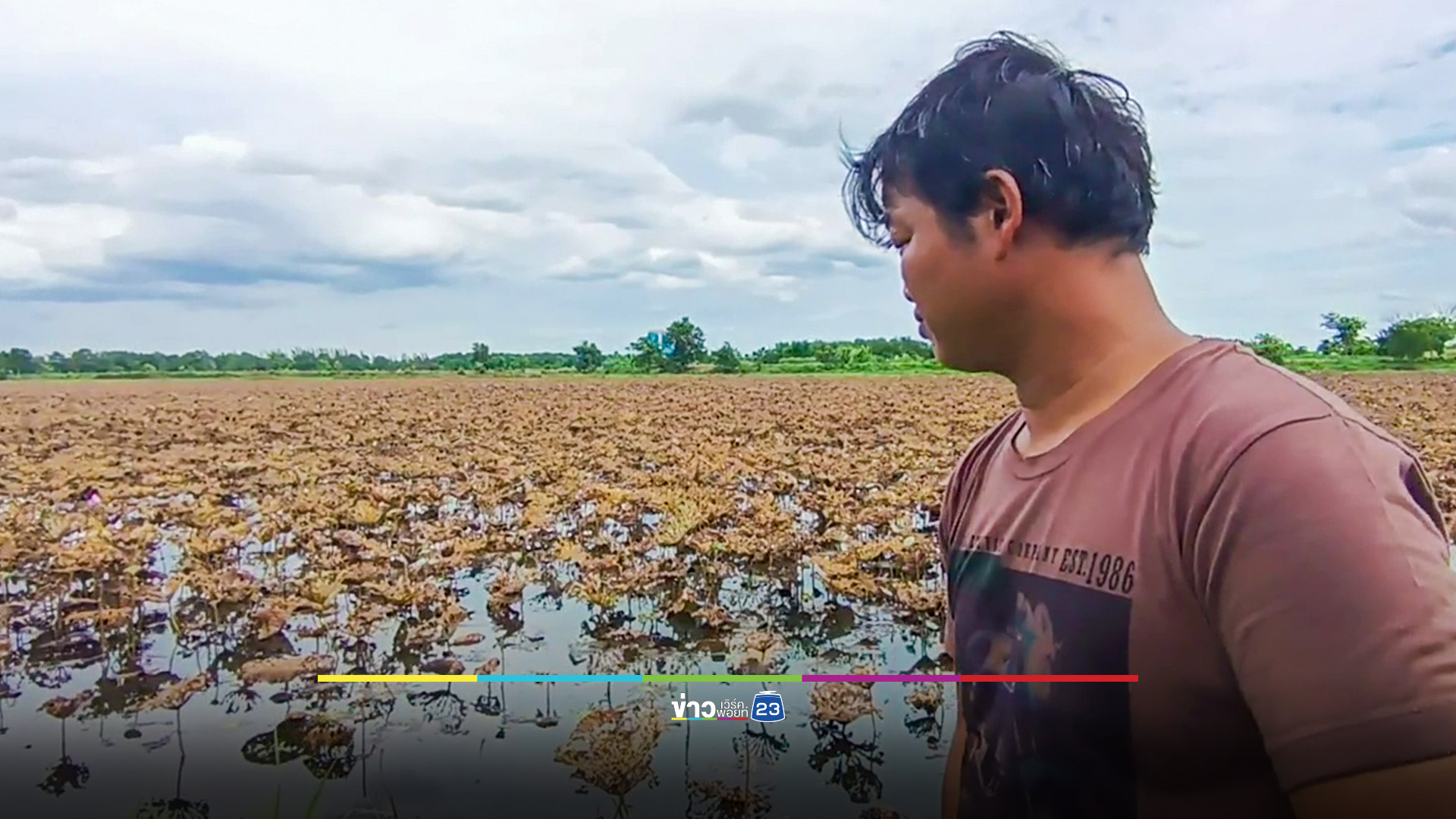 สุดอึ้ง! หนอนบุ้งบุกกินบัวหลวงบึงพระเมืองย่าโม รวดเดียว 150 ไร่