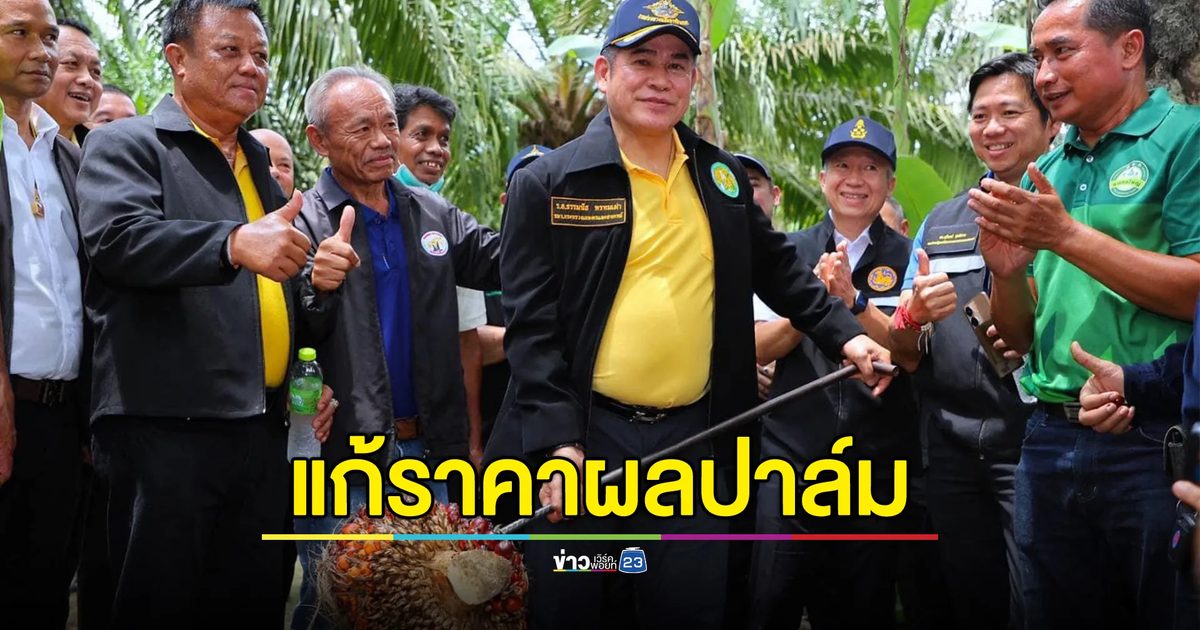 3 กระทรวงฯ เคาะมาตรการแก้ไขราคาผลปาล์มตกต่ำ